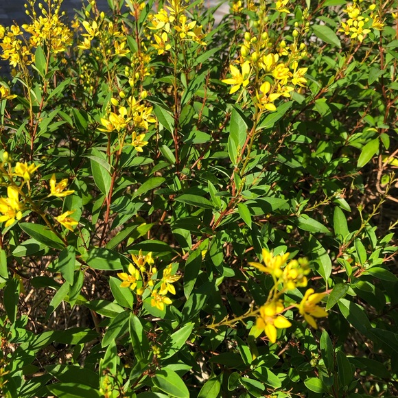 Welcome! - Picture 2 of 8